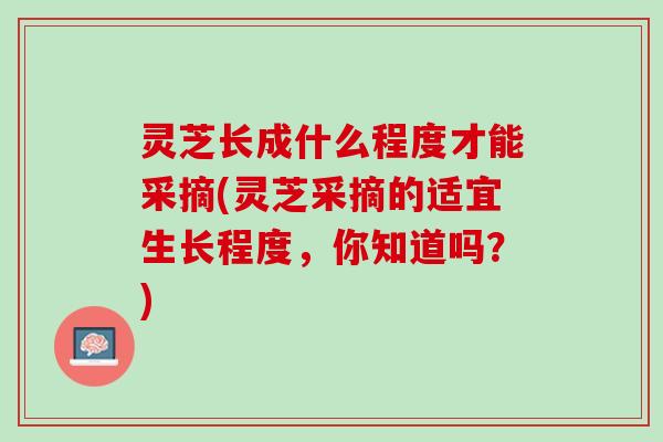灵芝长成什么程度才能采摘(灵芝采摘的适宜生长程度，你知道吗？)