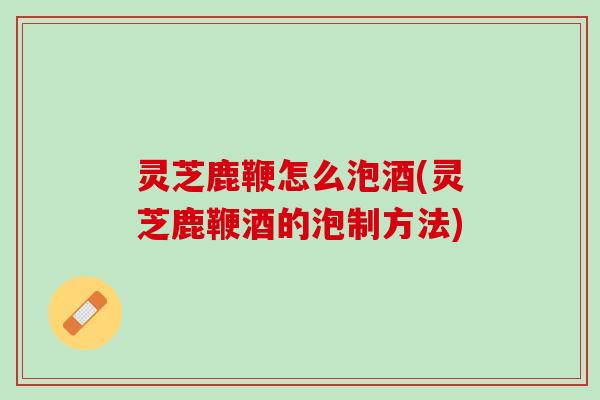 灵芝鹿鞭怎么泡酒(灵芝鹿鞭酒的泡制方法)