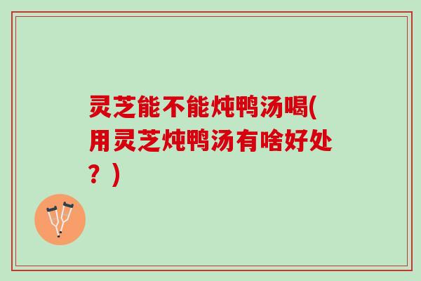 灵芝能不能炖鸭汤喝(用灵芝炖鸭汤有啥好处?) 灵芝能不能炖鸭汤喝(用灵芝炖鸭汤有啥好处?)