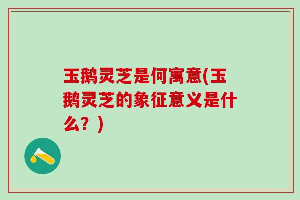 玉鹅灵芝是何寓意(玉鹅灵芝的象征意义是什么？)