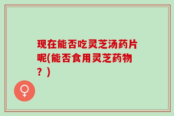 现在能否吃灵芝汤药片呢(能否食用灵芝药物？)
