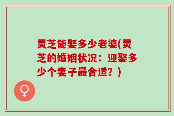 灵芝能娶多少老婆(灵芝的婚姻状况：迎娶多少个妻子最合适？)