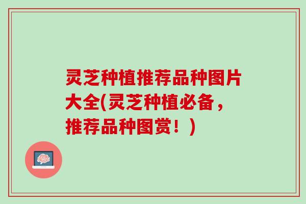 灵芝种植推荐品种图片大全(灵芝种植必备，推荐品种图赏！)
