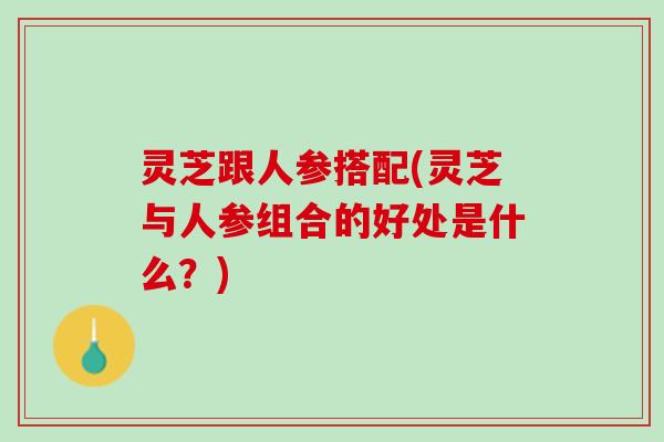 灵芝跟人参搭配(灵芝与人参组合的好处是什么?) 灵芝跟人参搭配(灵芝与人参组合的好处是什么?)