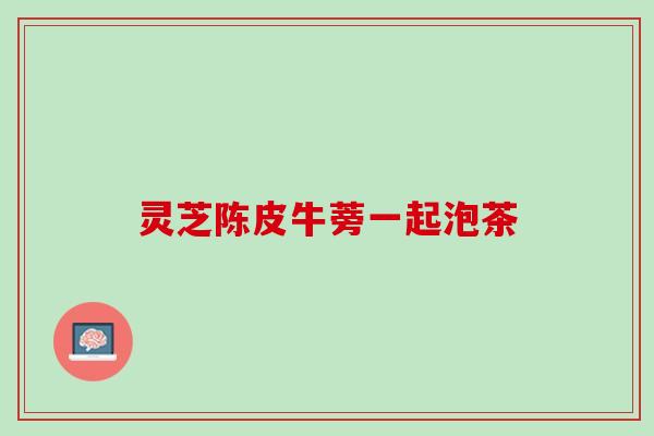 灵芝陈皮牛蒡一起泡茶