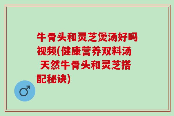 牛骨头和灵芝煲汤好吗视频(健康营养双料汤 天然牛骨头和灵芝搭配秘诀)