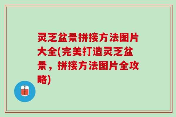 灵芝盆景拼接方法图片大全(完美打造灵芝盆景，拼接方法图片全攻略)