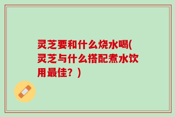 灵芝要和什么烧水喝(灵芝与什么搭配煮水饮用最佳？)