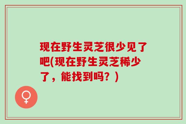 现在野生灵芝很少见了吧(现在野生灵芝稀少了，能找到吗？)