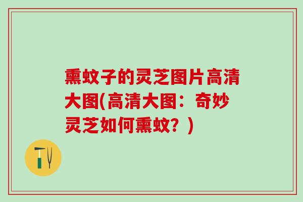 熏蚊子的灵芝图片高清大图(高清大图:奇妙灵芝如何熏蚊?) 熏蚊子的灵芝图片高清大图(高清大图:奇妙灵芝如何熏蚊?)