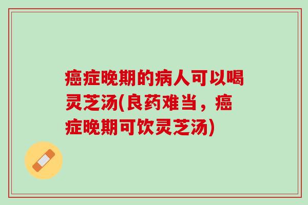 症晚期的人可以喝灵芝汤(良药难当,症晚期可饮灵芝汤) 症晚期的人可以喝灵芝汤(良药难当,症晚期可饮灵芝汤)