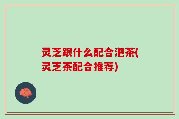 灵芝跟什么配合泡茶(灵芝茶配合推荐)
