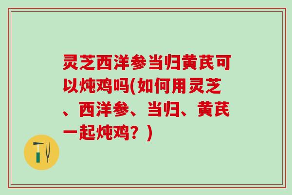 灵芝西洋参当归黄芪可以炖鸡吗(如何用灵芝、西洋参、当归、黄芪一起炖鸡？)