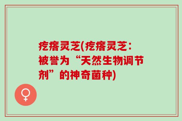 疙瘩灵芝(疙瘩灵芝:被誉为“天然生物调节剂”的神奇菌种) 疙瘩灵芝(疙瘩灵芝:被誉为“天然生物调节剂”的神奇菌种)