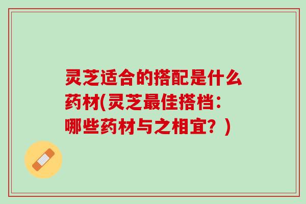 灵芝适合的搭配是什么药材(灵芝最佳搭档：哪些药材与之相宜？)