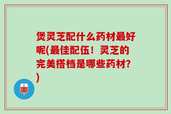 煲灵芝配什么药材最好呢(最佳配伍！灵芝的完美搭档是哪些药材？)