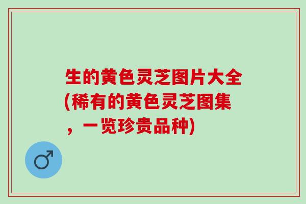 生的黄色灵芝图片大全(稀有的黄色灵芝图集，一览珍贵品种)