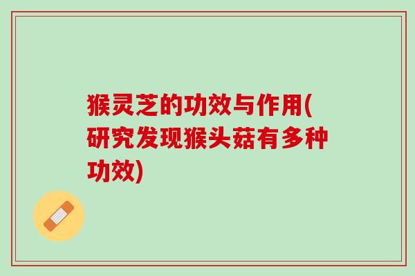 猴灵芝的功效与作用(研究发现猴头菇有多种功效)