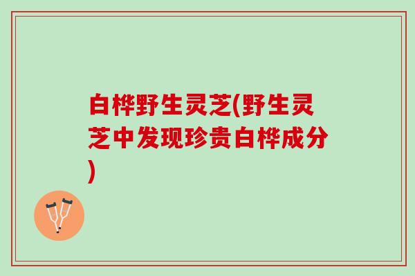 白桦野生灵芝(野生灵芝中发现珍贵白桦成分)