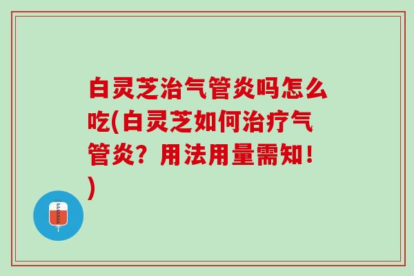 白灵芝治气管炎吗怎么吃(白灵芝如何治疗气管炎？用法用量需知！)