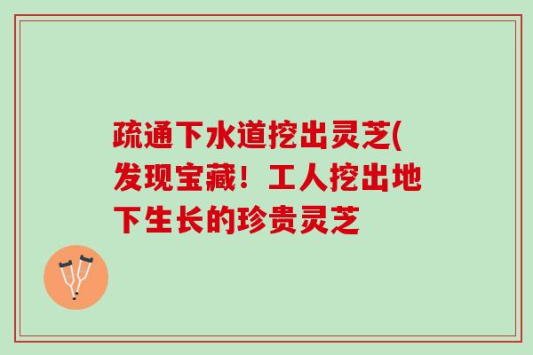 疏通下水道挖出灵芝(发现宝藏!工人挖出地下生长的珍贵灵芝 疏通下水道挖出灵芝(发现宝藏!工人挖出地下生长的珍贵灵芝