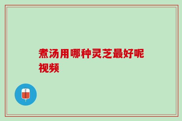煮汤用哪种灵芝最好呢视频
