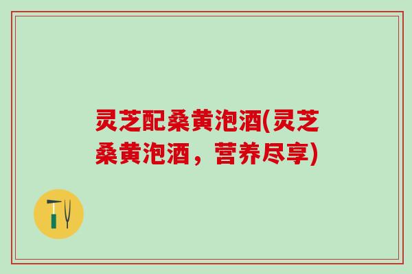 灵芝配桑黄泡酒(灵芝桑黄泡酒，营养尽享)