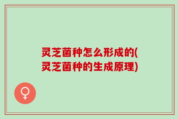 灵芝菌种怎么形成的(灵芝菌种的生成原理)