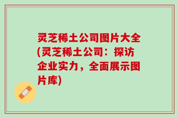 灵芝稀土公司图片大全(灵芝稀土公司：探访企业实力，全面展示图片库)