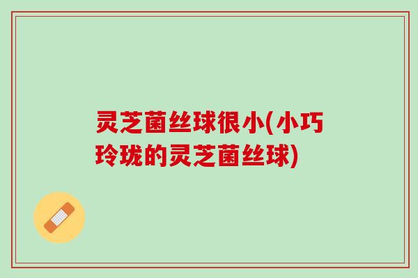灵芝菌丝球很小(小巧玲珑的灵芝菌丝球)