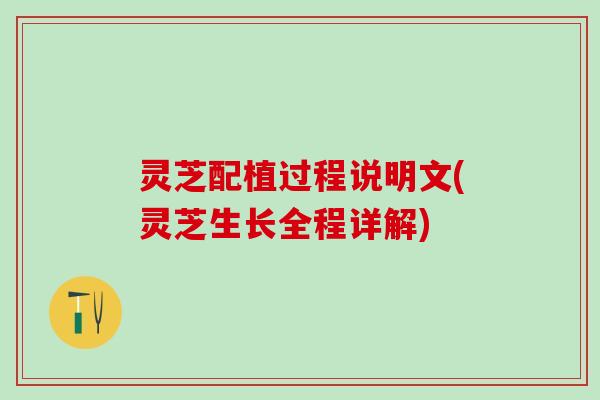 灵芝配植过程说明文(灵芝生长全程详解)