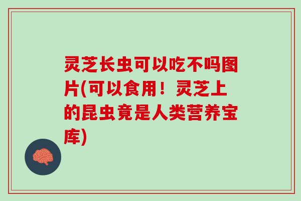 灵芝长虫可以吃不吗图片(可以食用!灵芝上的昆虫竟是人类营养宝库) 灵芝长虫可以吃不吗图片(可以食用!灵芝上的昆虫竟是人类营养宝库)