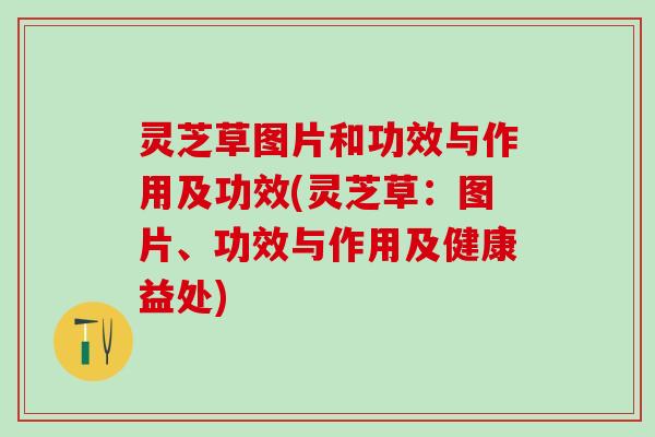 灵芝草图片和功效与作用及功效(灵芝草：图片、功效与作用及健康益处)