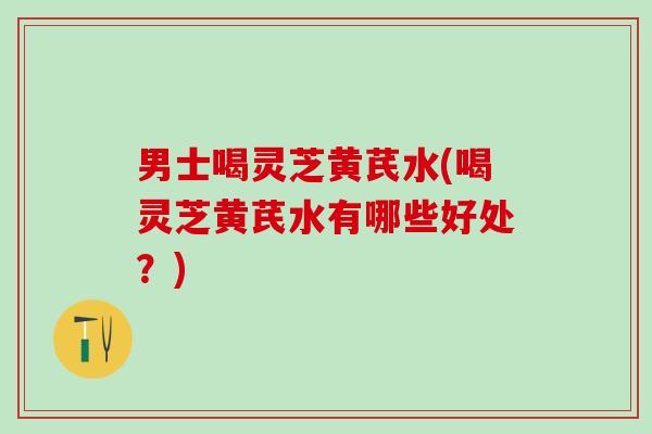 男士喝灵芝黄芪水(喝灵芝黄芪水有哪些好处？)