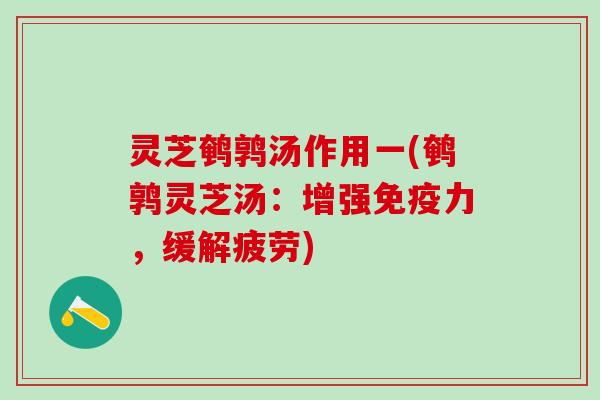 灵芝鹌鹑汤作用一(鹌鹑灵芝汤：增强免疫力，缓解疲劳)