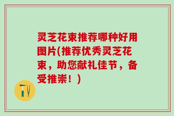 灵芝花束推荐哪种好用图片(推荐优秀灵芝花束，助您献礼佳节，备受推崇！)