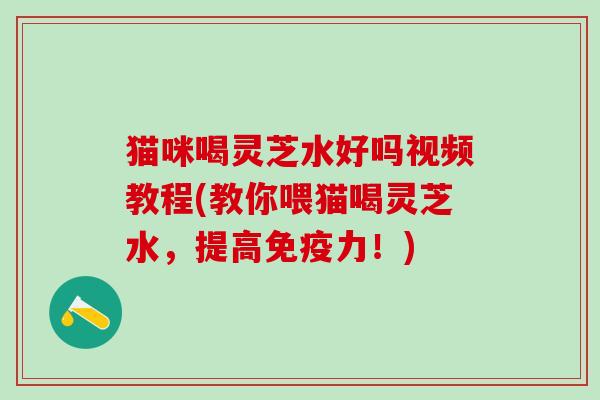 猫咪喝灵芝水好吗视频教程(教你喂猫喝灵芝水，提高免疫力！)