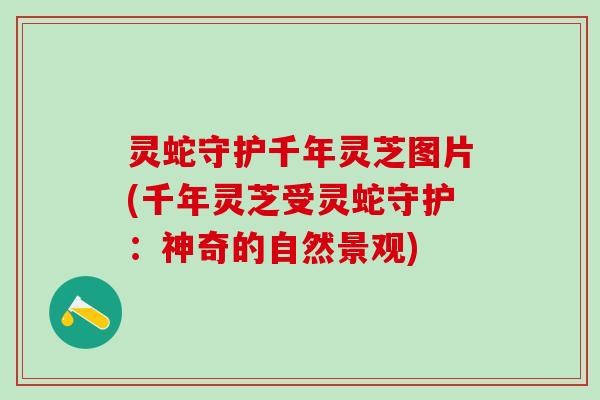 灵蛇守护千年灵芝图片(千年灵芝受灵蛇守护：神奇的自然景观)