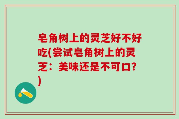 皂角树上的灵芝好不好吃(尝试皂角树上的灵芝:美味还是不可口?) 皂角树上的灵芝好不好吃(尝试皂角树上的灵芝:美味还是不可口?)