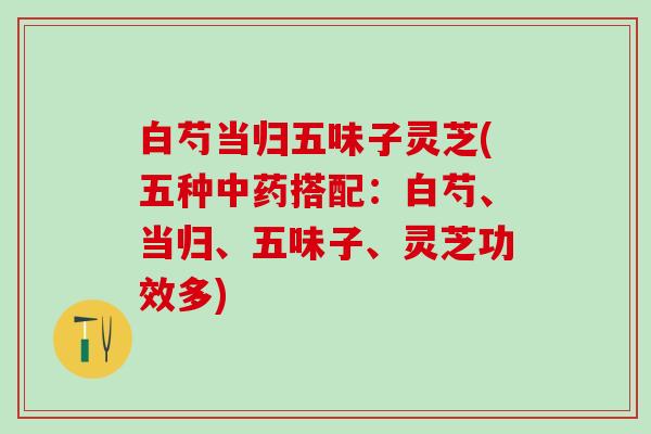 白芍当归五味子灵芝(五种搭配:白芍、当归、五味子、灵芝功效多) 白芍当归五味子灵芝(五种搭配:白芍、当归、五味子、灵芝功效多)