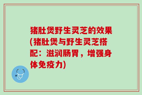 猪肚煲野生灵芝的效果(猪肚煲与野生灵芝搭配：滋润肠胃，增强身体免疫力)