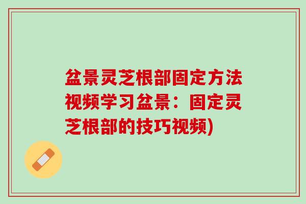 盆景灵芝根部固定方法视频学习盆景：固定灵芝根部的技巧视频)