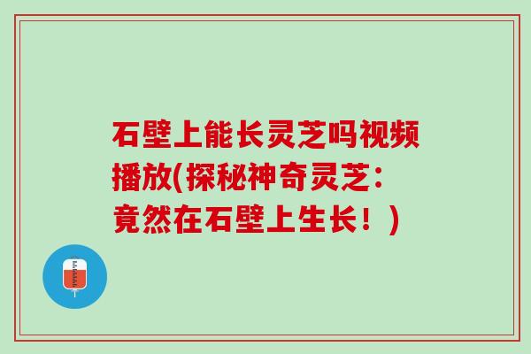 石壁上能长灵芝吗视频播放(探秘神奇灵芝：竟然在石壁上生长！)