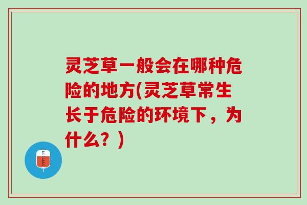 灵芝草一般会在哪种危险的地方(灵芝草常生长于危险的环境下,为什么?) 灵芝草一般会在哪种危险的地方(灵芝草常生长于危险的环境下,为什么?)