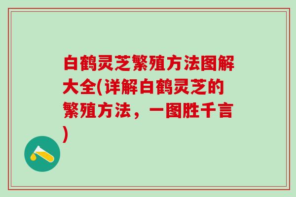 白鹤灵芝繁殖方法图解大全(详解白鹤灵芝的繁殖方法，一图胜千言)