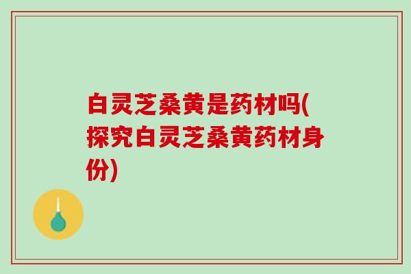 白灵芝桑黄是药材吗(探究白灵芝桑黄药材身份)