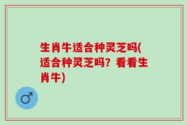 生肖牛适合种灵芝吗(适合种灵芝吗？看看生肖牛)