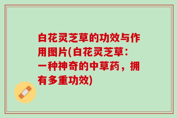 白花灵芝草的功效与作用图片(白花灵芝草：一种神奇的中草药，拥有多重功效)
