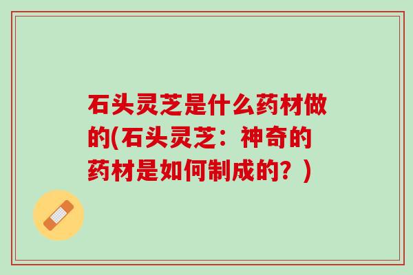 石头灵芝是什么药材做的(石头灵芝:神奇的药材是如何制成的?) 石头灵芝是什么药材做的(石头灵芝:神奇的药材是如何制成的?)