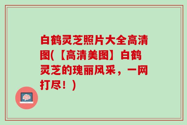 白鹤灵芝照片大全高清图(【高清美图】白鹤灵芝的瑰丽风采，一网打尽！)